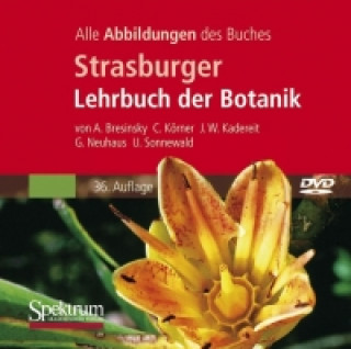 Strasburger Botanik