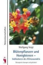 Blütenpflanzen und Honigbienen - Schlüssellebewesen zum Erhalt biologischer Vielfalt