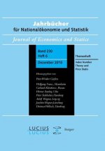 Index Number Theory and Price Statistics
