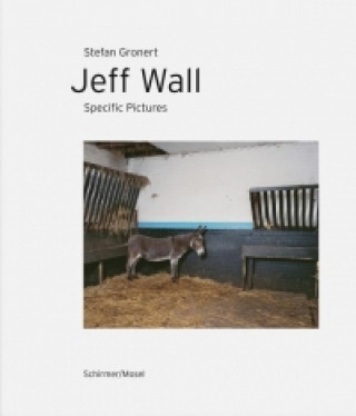 Jeff Wall - Specific Pictures (Jeff Wall,Stefan Gronert)(Twarda)