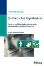 Synthetisches Repertorium