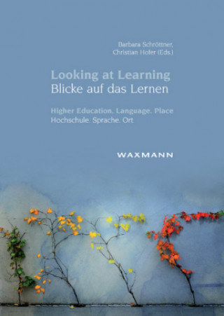 Looking at LearningBlicke auf das Lernen