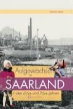 Aufgewachsen im Saarland in den  60er & 70er Jahren