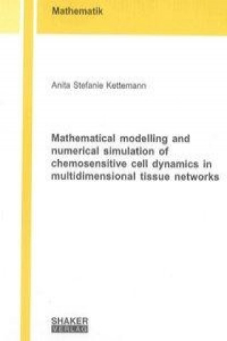 Mathematical modelling and numerical simulation of chemosensitive cell dynamics in multidimensional tissue networks