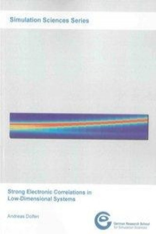 Strong Electronic Correlations in Low-Dimensional Systems