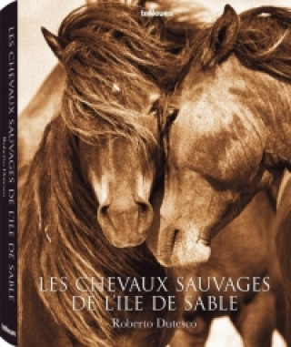 Les chevaux sauvages de l'île de Sable