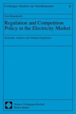 Regulation and Competition Policy in the Electricity Market