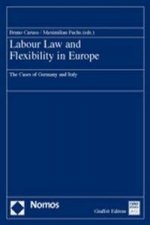 Labour Law and Flexibility in Europe