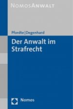 Der Anwalt im Strafrecht