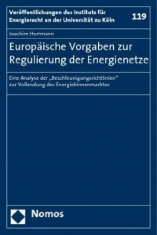 Europäische Vorgaben zur Regulierung der Energienetze