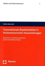 Transnationale Repräsentation in Parlamentarischen Versammlungen