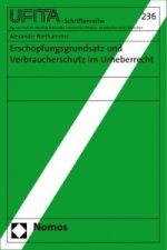 Erschöpfungsgrundsatz und Verbraucherschutz im Urheberrecht