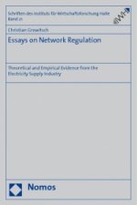 Essays on Network Regulation