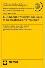 ALI/UNIDROIT Principles and Rules of Transnational Civil Procedure