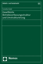 Gewillkürte Betriebsverfassungsstruktur und Umstrukturierung