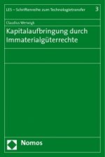 Kapitalaufbringung durch Immaterialgüterrechte