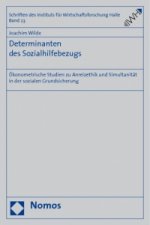 Determinanten des Sozialhilfebezugs
