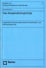 Das Kooperationsprinzip