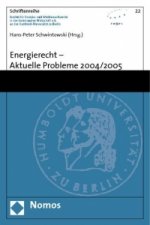 Energierecht - Aktuelle Probleme 2004/2005