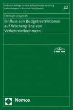 Einfluss von Budgetrestriktionen auf Wochenpläne von Verkehrsteilnehmern