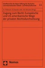 Zugang zum Recht: Europäische und US-amerikanische Wege der privaten Rechtsdurchsetzung