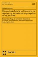 Die Anreizregulierung als Instrument zur Regulierung von Netznutzungsentgelten im neuen EnWG