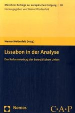 Lissabon in der Analyse