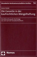 Die Garantie in der kaufrechtlichen Mängelhaftung