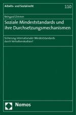 Soziale Mindeststandards und ihre Durchsetzungsmechanismen