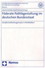 Föderale Politikgestaltung im deutschen Bundesstaat