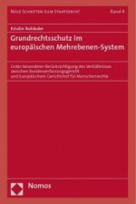 Grundrechtsschutz im europäischen Mehrebenen-System