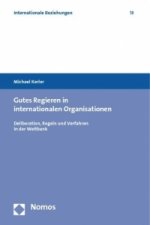 Gutes Regieren in internationalen Organisationen