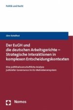 Der EuGH und die deutschen Arbeitsgerichte - Strategische Interaktionen in komplexen Entscheidungskontexten