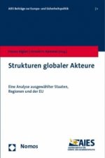 Strukturen globaler Akteure
