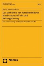 Das Verhältnis von kartellrechtlicher Missbrauchsaufsicht und Netzregulierung