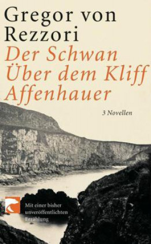 Der Schwan - Über dem Kliff - Affenhauer