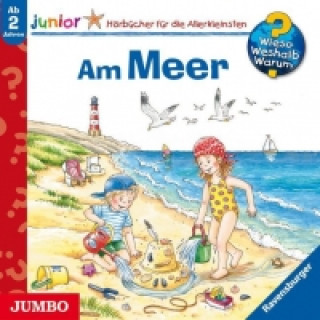 Wieso? Weshalb? Warum? - Junior. Am Meer