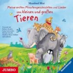 Meine ersten Minutengeschichten und Lieder von kleinen und großen Tieren