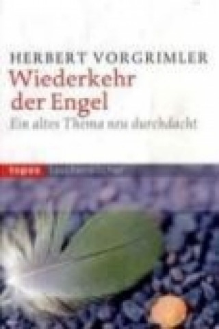 Wiederkehr der Engel