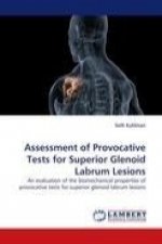 Assessment of Provocative Tests for Superior Glenoid Labrum Lesions