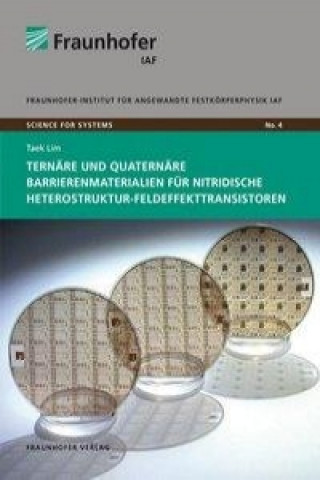 Ternäre und quaternäre Barrierenmaterialien für nitridische Heterostruktur-Feldeffekttransistoren