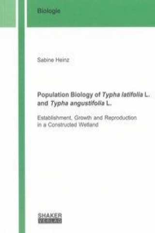 Population Biology of Typha latifolia L. and Typha angustifolia L.