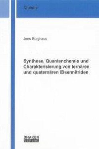 Synthese, Quantenchemie und Charakterisierung von ternären und quaternären Eisennitriden