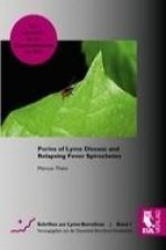Porins of Lyme Disease and Relapsing Fever Spirochetes
