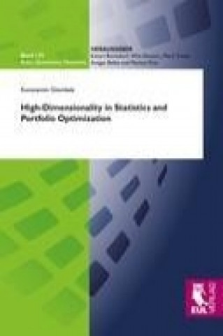 High-Dimensionality in Statistics and Portfolio Optimization