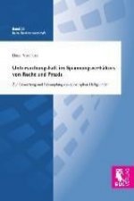 Untersuchungshaft im Spannungsverhältnis von Recht und Praxis