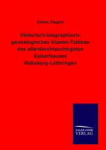 Historisch-biographisch- genealogisches Stamm-Tableau des allerdurchlauchtigsten Kaiserhauses Habsburg-Lothringen