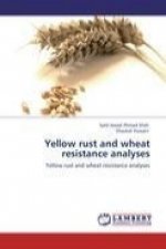 Yellow rust and wheat resistance analyses