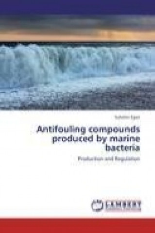 Antifouling compounds produced by marine bacteria