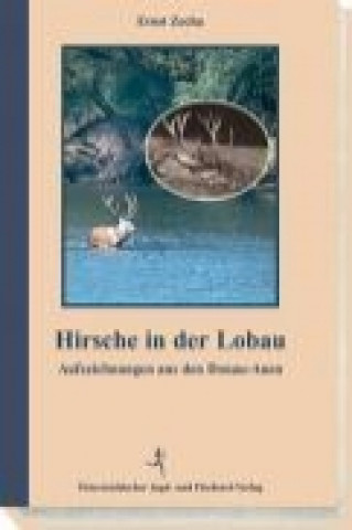 Hirsche in der Lobau